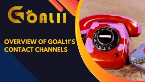 Overview of Goal11's Contact Channels