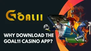 Why Download the Goal11 Casino App